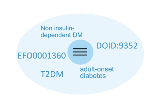  A selection of the many synonyms for the Type II Diabetes-related gene, ABCC8 