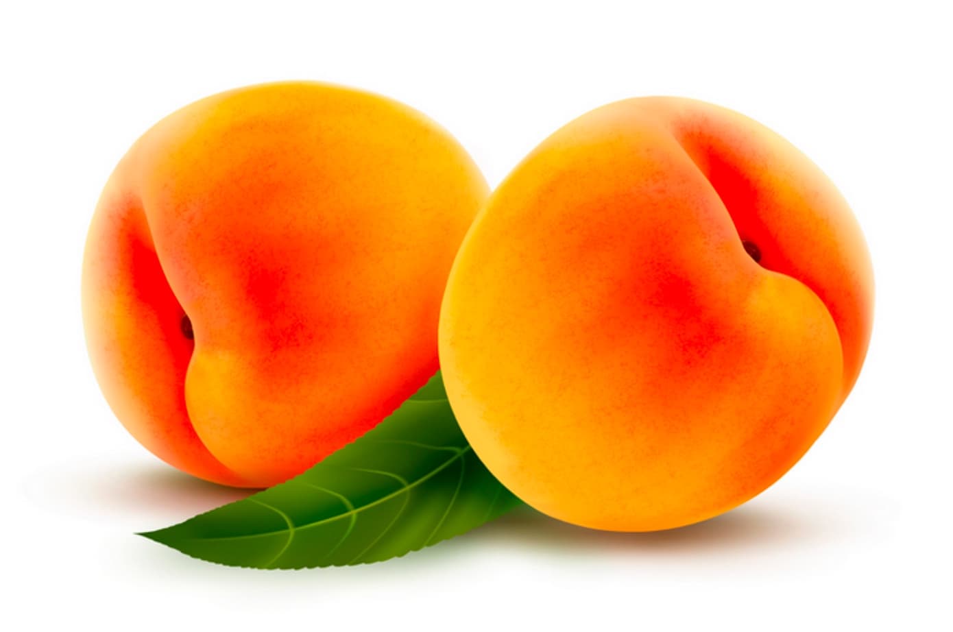 Blog - Peaches