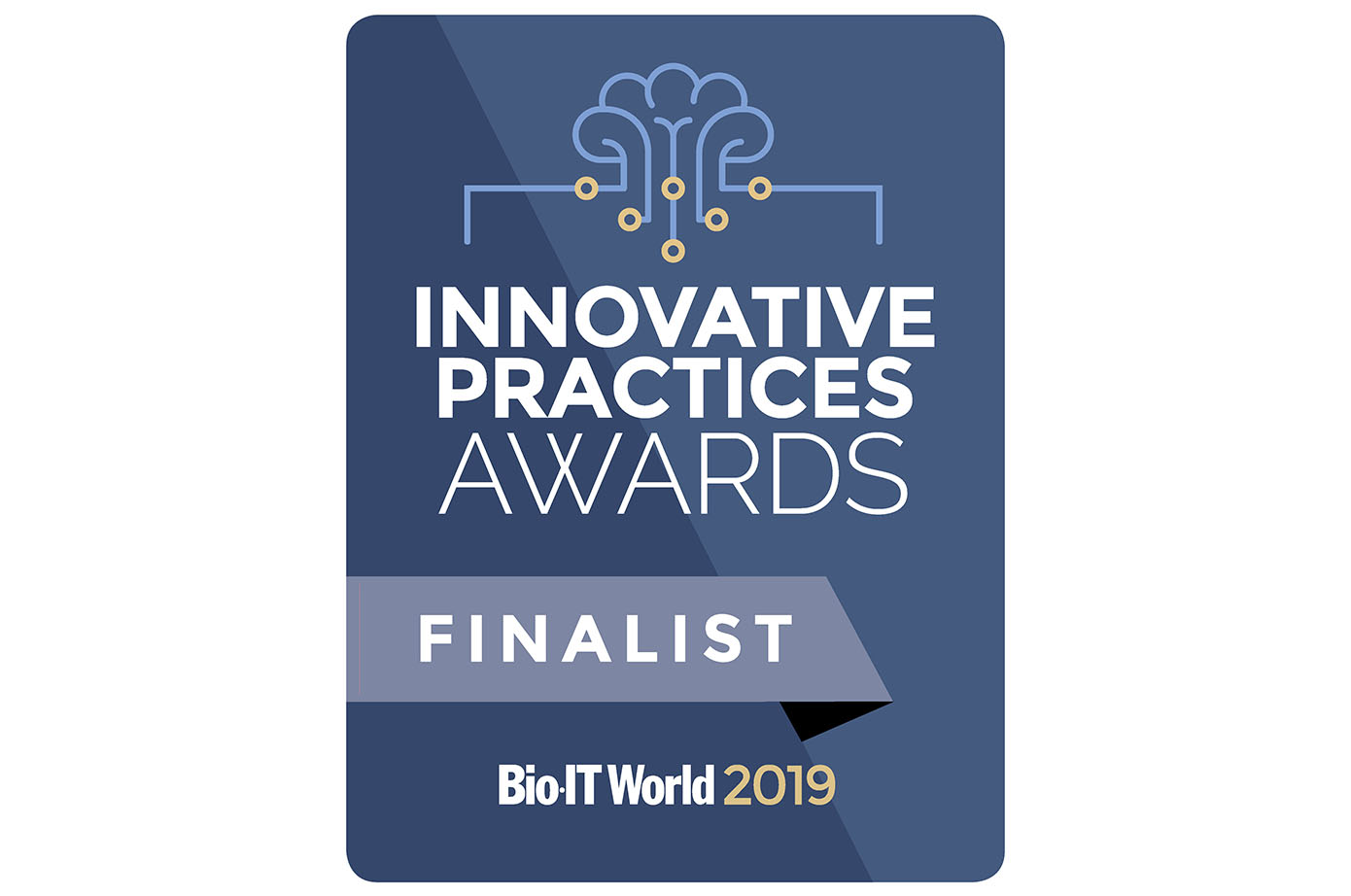 Logo Badge - Bio-IT World 2019-Innovative Practices Finalist 2019 icon / pictograph