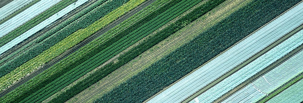 Aerial View of Agricultural Landscape